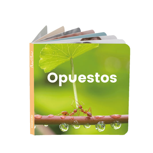 Opuestos